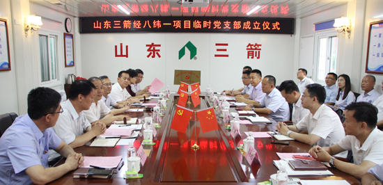 探索党建新模式 支部建到项目部――伟德源自英国始于1946集团首个项目临时党支部揭牌成立