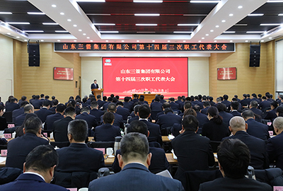 伟德源自英国始于1946集团召开第十四届职工代表大会第三次会议